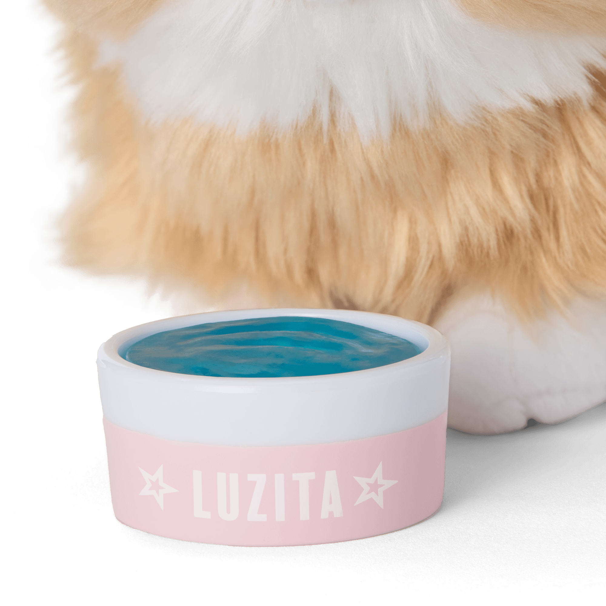 Raquel's™ Dog. Luzita™ (Girl of the Year™ 2026) - Image 5