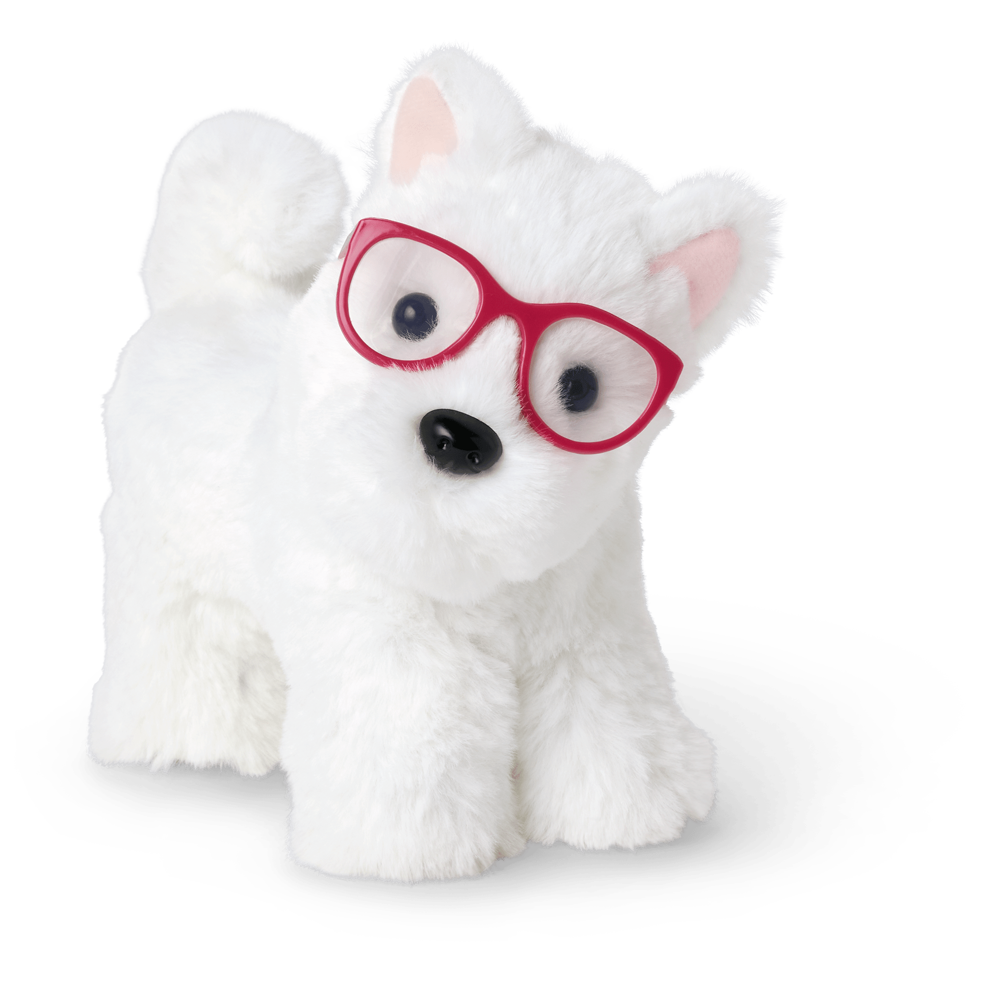 Fancy Pet Fashion Accessories - Image 2